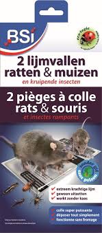 Lijmval tegen muizen en ratten (2st)
