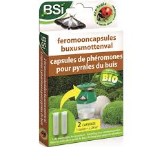 BSI feromooncaps buxusmot 2st