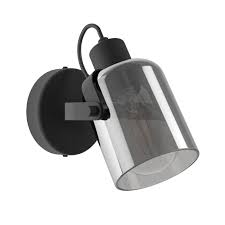 Eglo Berregas wandlamp 1x E27 zwart/transparant