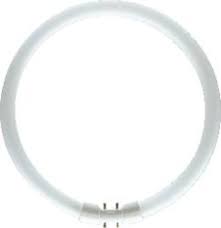 Osram ronde TL-lamp T5 22w 230mm cool wit