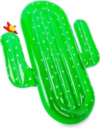 [69641] Didak cactus luchtmatras